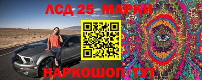 гидропоника Новозыбков