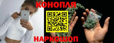 гидропоника Новозыбков