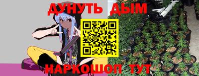 гидропоника Новозыбков