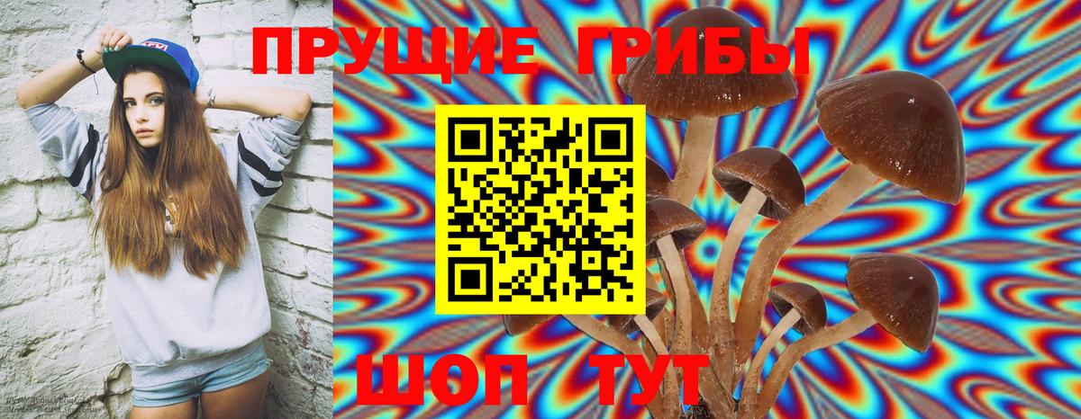 Псилоцибиновые грибы прущие грибы Альметьевск